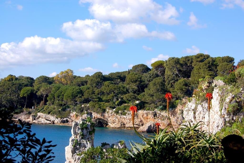 Appartement Ravissant Au Coeur Du Vieil
